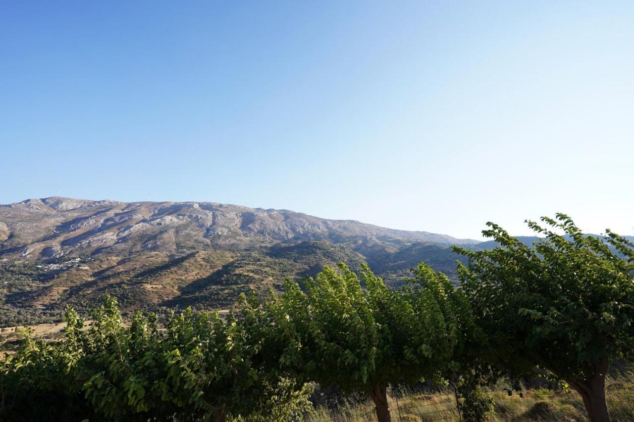 Villa Tzekos Kendrochori Екстериор снимка